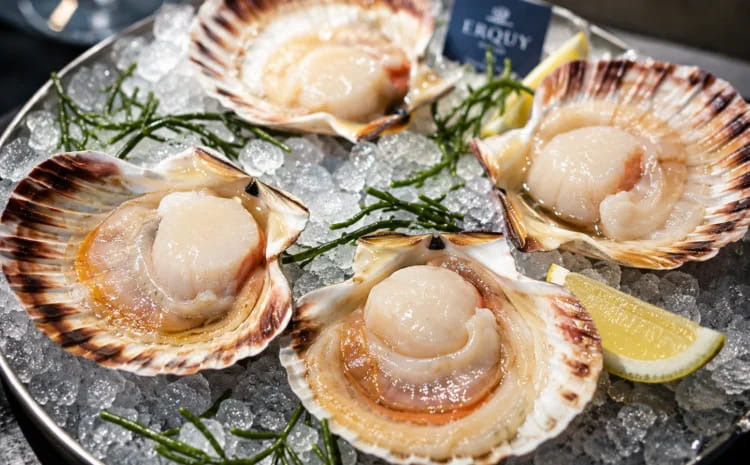 Discover How Ambiance Shapes the Perfect Dining Experience